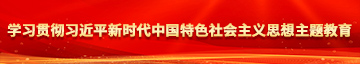 咪咪肏艹网址免费观看学习贯彻习近平新时代中国特色社会主义思想主题教育